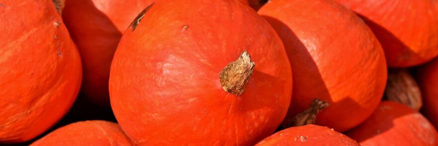 La calabaza combate los gusanos
