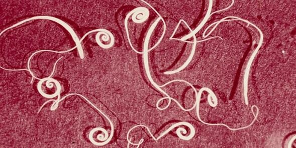 Fotos de parásitos humanos.